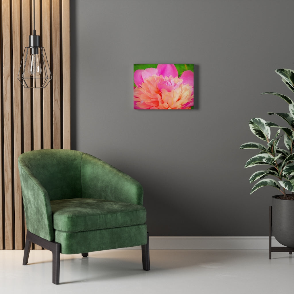 Pink Peony Stretched Canvas