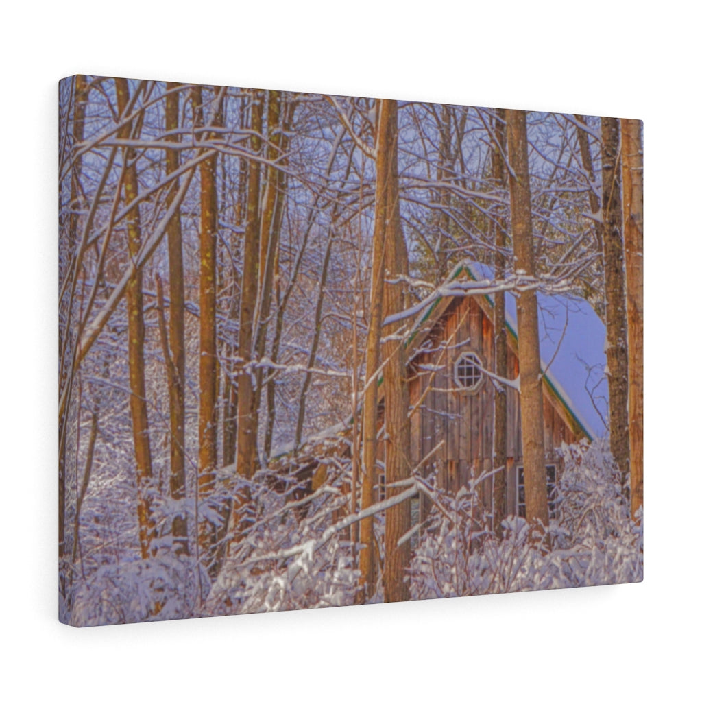 Cabin in the Woods Stretched Canvas