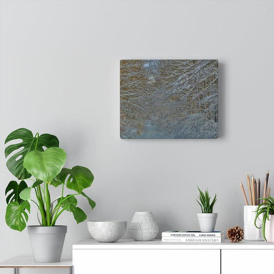 Snowy Path Stretched Canvas