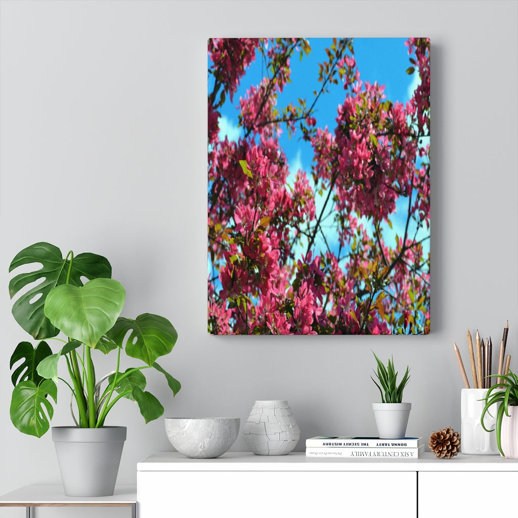 Flowering Crabapple Stretched Canvas