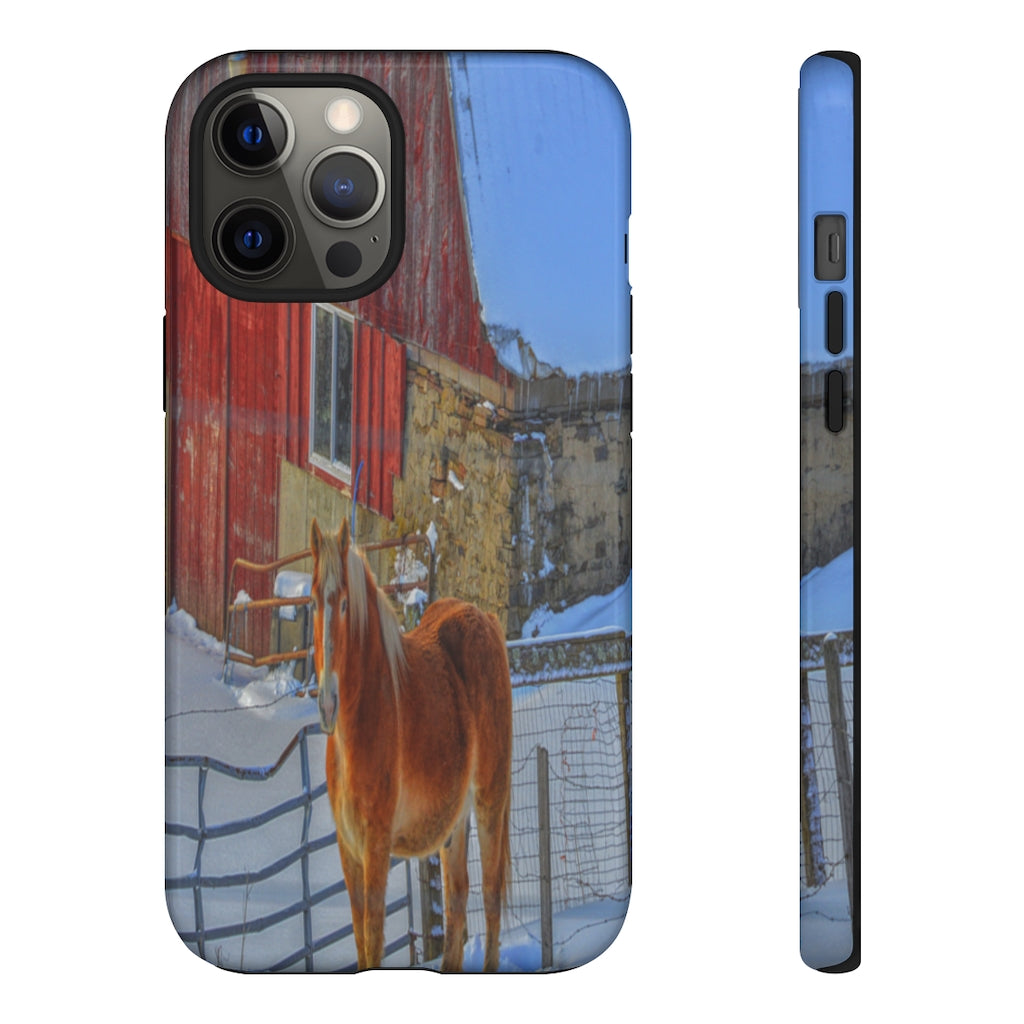 Haflinger in Winter Mobile Phone Case for iPhone and Samsung Galaxy