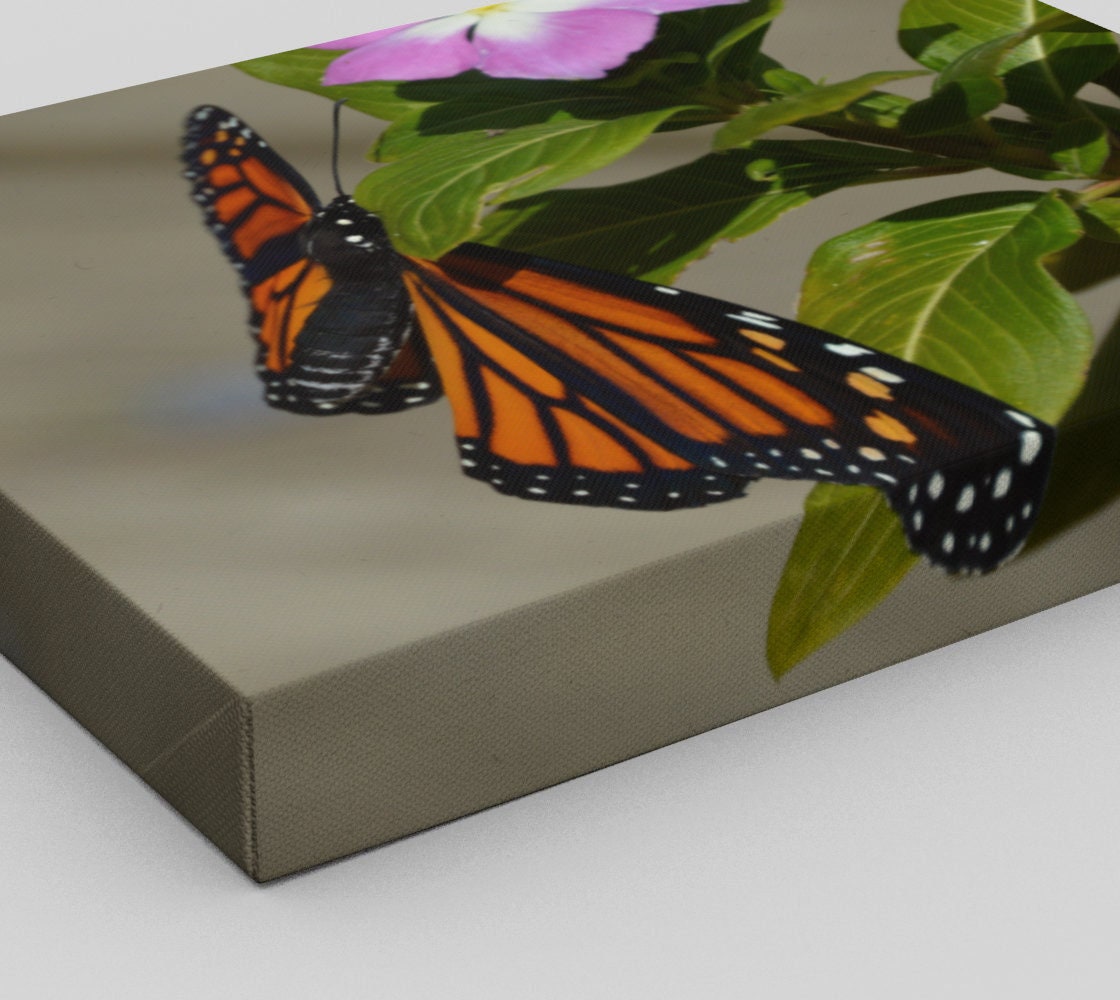 Monarch 14x11 Wall Decor