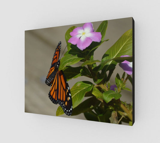 Monarch 14x11 Wall Decor