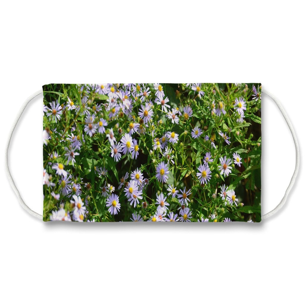 Wild Aster  Face Mask