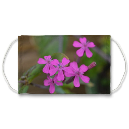 Sweet William Catchfly  Face Mask