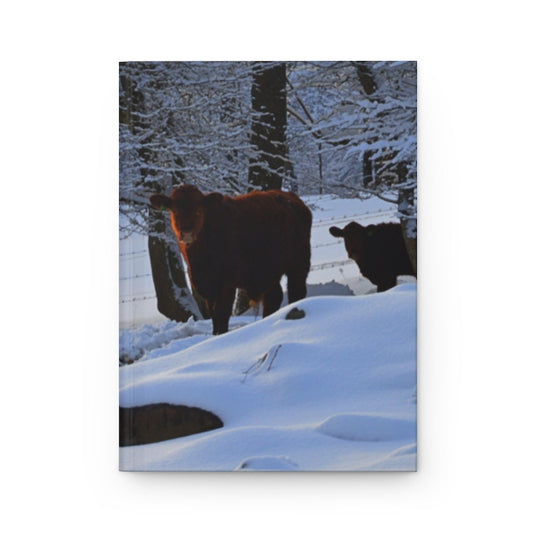 Winter Cows Hardcover Journal