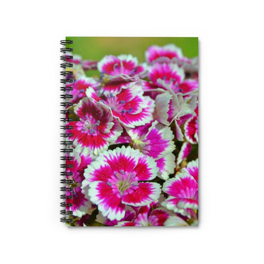 Dianthus Spiral Notebook - Ruled Line