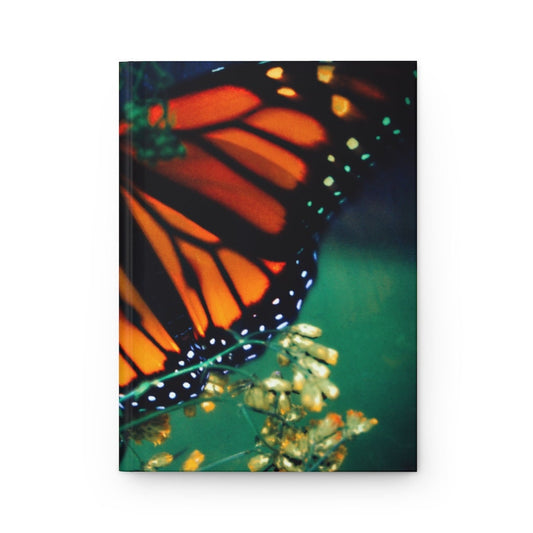 Stefano the Monarch Butterfly3 Hardcover Journal