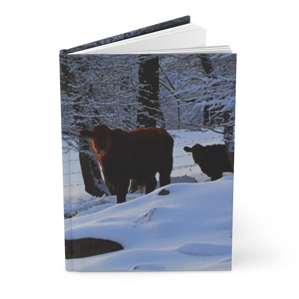 Winter Cows Hardcover Journal