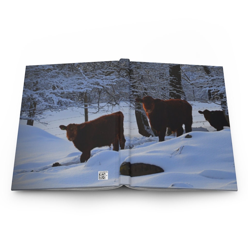 Winter Cows Hardcover Journal