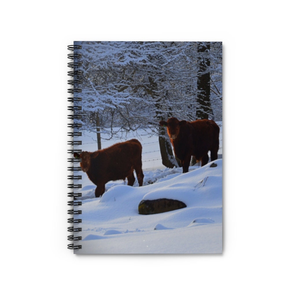 Winter Cows Spiral Notebook - Ruled Line