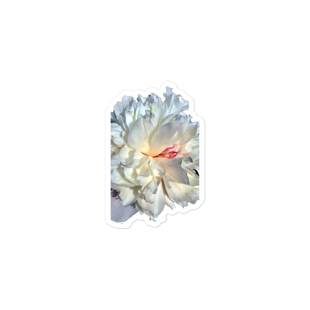 Festiva Maxima Peony Bubble-free stickers