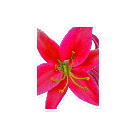 Oriental Lily Bubble-free stickers