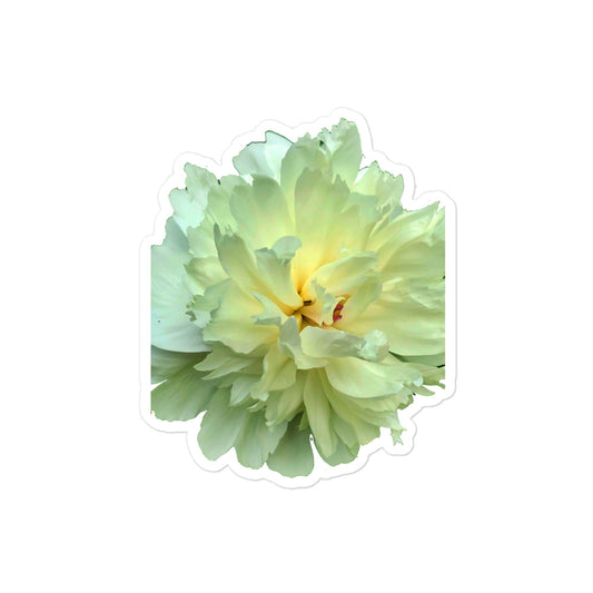 Festiva Maxima Peony 2 Bubble-free stickers