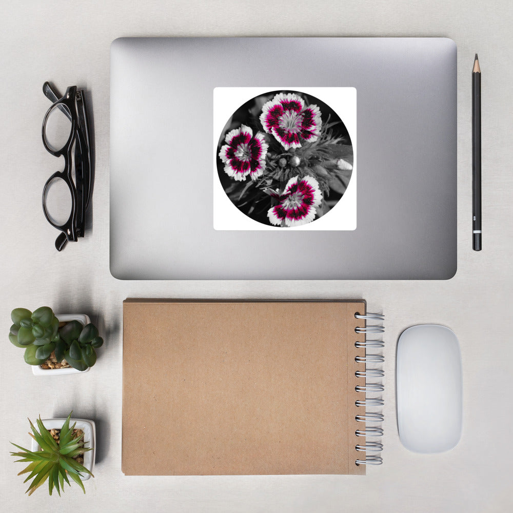 Dianthus Bubble-free stickers