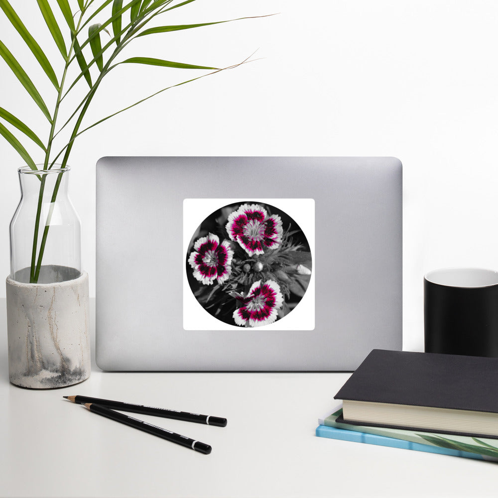 Dianthus Bubble-free stickers