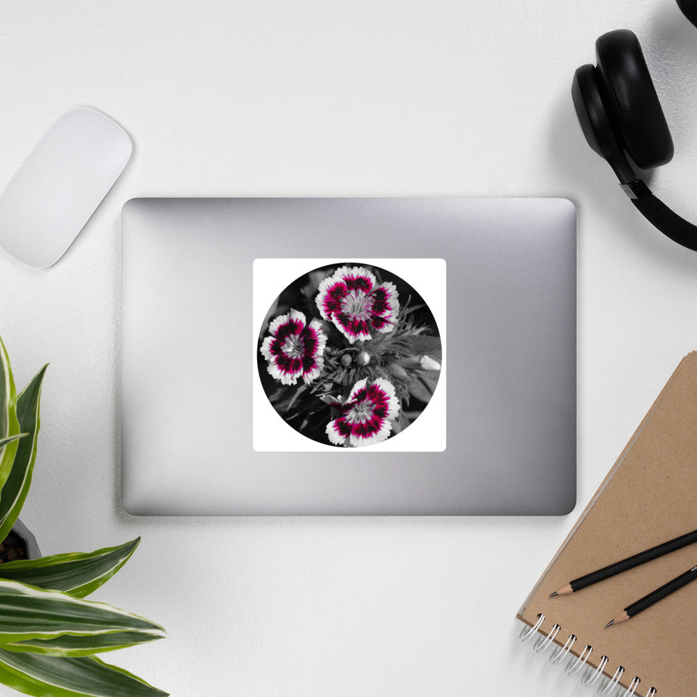 Dianthus Bubble-free stickers